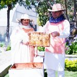 मुख्यमंत्री पुष्कर सिंह धामी ने उद्यान विभाग को शहद महोत्सव आयोजित करने के दिए निर्देश