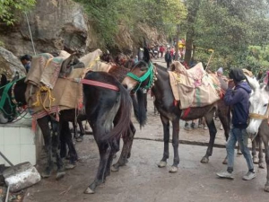 यात्रा मार्ग पर सेवा देंगे 43 सौ से&hellip;