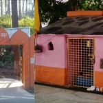 सात दिवसीय जय कण्डोलिया पौड़ी महोत्सव का आज हुआ शुभारंभ, मुख्यमंत्री ने वर्चुअल किया शुभारंभ