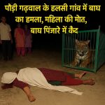 पौड़ी गढ़वाल के हलसी गांव में बाघ का हमला, महिला की दर्दनाक मौत, बाघ पिंजरे में कैद